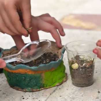 بکارید و ببینید